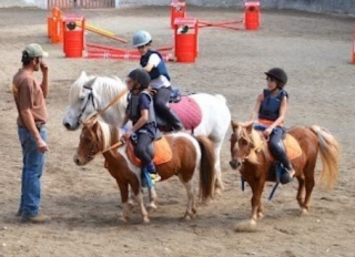  Paseo en pony 